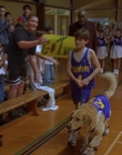 1997_-_Air_Bud_mp44807.jpg