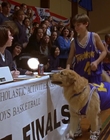 1997_-_Air_Bud_mp44813.jpg