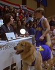 1997_-_Air_Bud_mp44814.jpg