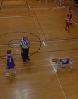 1997_-_Air_Bud_mp44860.jpg