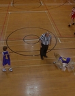 1997_-_Air_Bud_mp44861.jpg