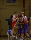 1997_-_Air_Bud_mp44906.jpg