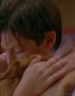 1997_-_Air_Bud_mp45189.jpg