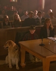 1997_-_Air_Bud_mp45378.jpg