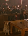1997_-_Air_Bud_mp45380.jpg