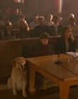 1997_-_Air_Bud_mp45381.jpg