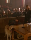 1997_-_Air_Bud_mp45436.jpg