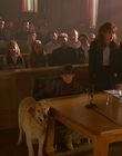1997_-_Air_Bud_mp45439.jpg