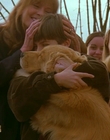 Filename=1997_-_Air_Bud_mp45622.jpg
Filesize=847KiB
Dimensions=1920x1080
Date added=Dec 29, 2023 1997_-_Air_Bud_mp45622.jpg