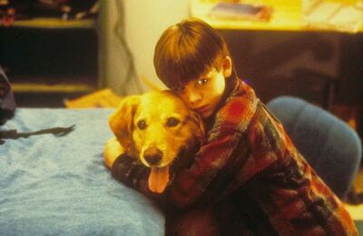 AirBud_28129.jpg
