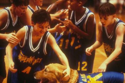 AirBud_28229.jpg