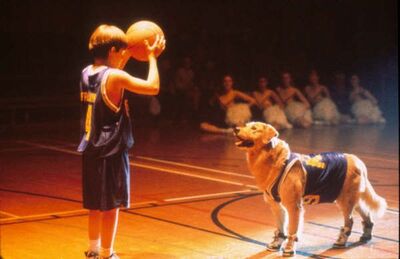 AirBud_28529.jpg