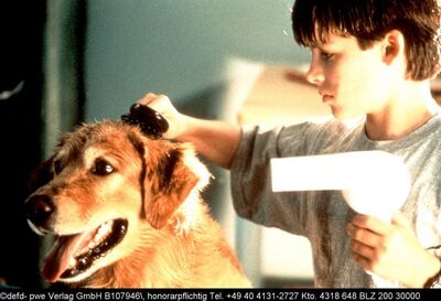 AirBud_28729.jpg