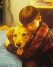 AirBud_28129.jpg
