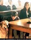 AirBud_28329.jpg