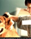 AirBud_28729.jpg