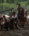 1997_-_Rose_Hill_mp40622.jpg