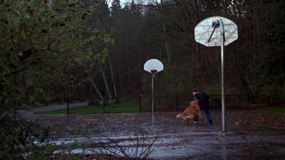 1998_-_Air_Bud_Golden_Receiver_mp40035.jpg