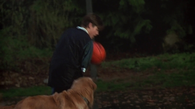 1998_-_Air_Bud_Golden_Receiver_mp40037.jpg