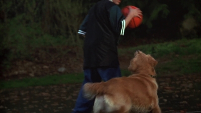 1998_-_Air_Bud_Golden_Receiver_mp40038.jpg