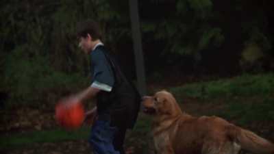1998_-_Air_Bud_Golden_Receiver_mp40039.jpg