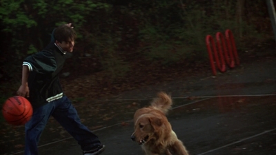 1998_-_Air_Bud_Golden_Receiver_mp40041.jpg
