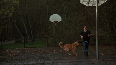 1998_-_Air_Bud_Golden_Receiver_mp40053.jpg