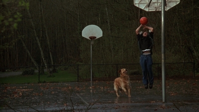1998_-_Air_Bud_Golden_Receiver_mp40054.jpg