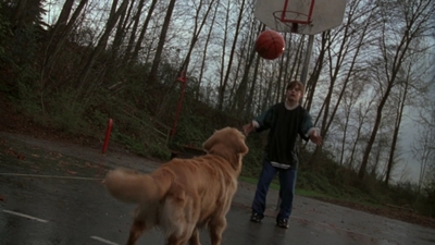 1998_-_Air_Bud_Golden_Receiver_mp40056.jpg