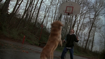 1998_-_Air_Bud_Golden_Receiver_mp40057.jpg