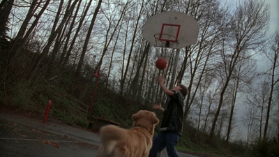 1998_-_Air_Bud_Golden_Receiver_mp40058.jpg