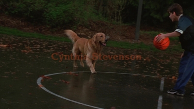 1998_-_Air_Bud_Golden_Receiver_mp40059.jpg