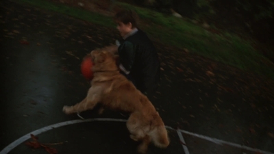 1998_-_Air_Bud_Golden_Receiver_mp40065.jpg
