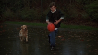 1998_-_Air_Bud_Golden_Receiver_mp40069.jpg