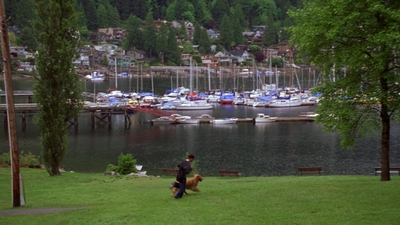 1998_-_Air_Bud_Golden_Receiver_mp40089.jpg