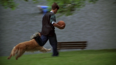1998_-_Air_Bud_Golden_Receiver_mp40093.jpg