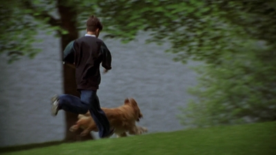 1998_-_Air_Bud_Golden_Receiver_mp40094.jpg