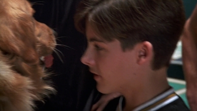 1998_-_Air_Bud_Golden_Receiver_mp40289.jpg