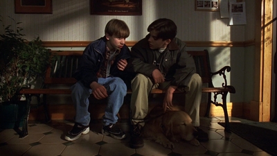 1998_-_Air_Bud_Golden_Receiver_mp40369.jpg