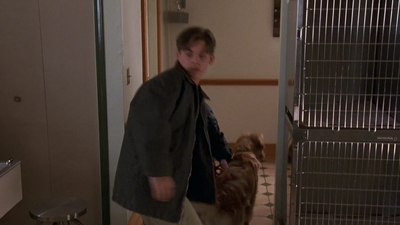 1998_-_Air_Bud_Golden_Receiver_mp40393.jpg