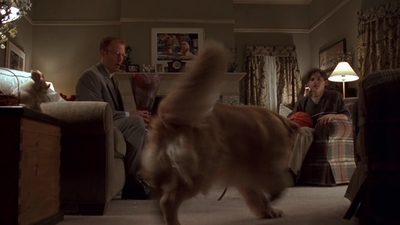 1998_-_Air_Bud_Golden_Receiver_mp40697.jpg