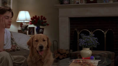 1998_-_Air_Bud_Golden_Receiver_mp40740.jpg