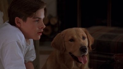 1998_-_Air_Bud_Golden_Receiver_mp40746.jpg