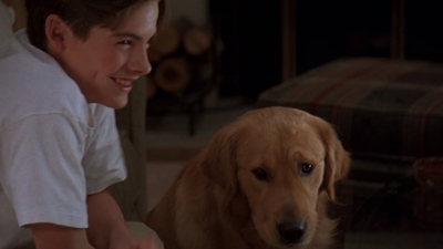 1998_-_Air_Bud_Golden_Receiver_mp40761.jpg