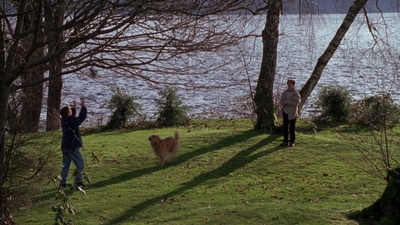 1998_-_Air_Bud_Golden_Receiver_mp41083.jpg