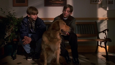 1998_-_Air_Bud_Golden_Receiver_mp41462.jpg