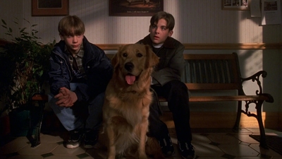 1998_-_Air_Bud_Golden_Receiver_mp41463.jpg
