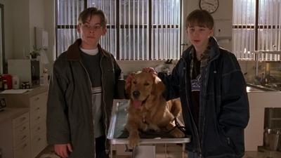 1998_-_Air_Bud_Golden_Receiver_mp41464.jpg