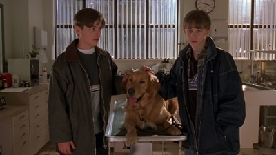 1998_-_Air_Bud_Golden_Receiver_mp41465.jpg