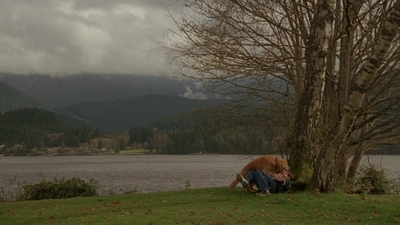 1998_-_Air_Bud_Golden_Receiver_mp41624.jpg